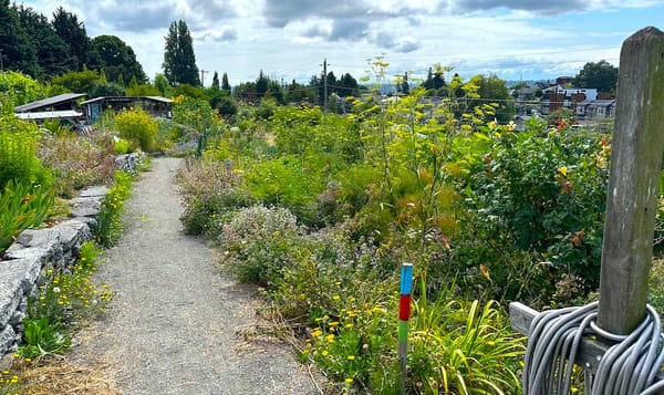 the upper entrance to the beacon food forest in seattle.