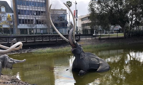 an artificial ancient mammoth half-submerged in the watery tar of La Brea