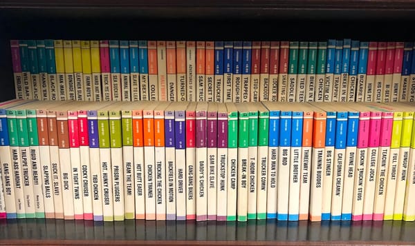 a photo of a shelf of pulp fiction titles from the very-worth-it Leather Archives & Museum in Chicago. these novels look like