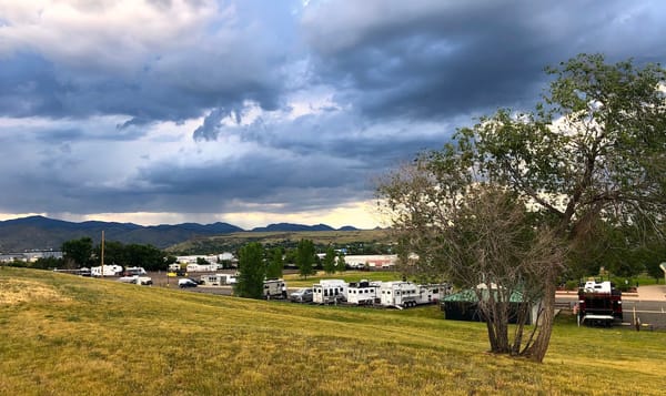 a photo of a field in Golden, Colorado. the grass is mottled green and brown. a single scrubby tree is off to the right, and 