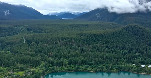 view from a mountain overlooking a valley of trees