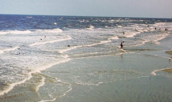 people frolicking on a beach