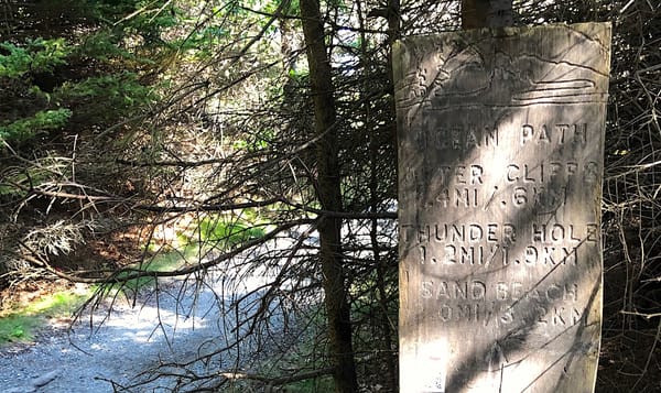 a wooden signpost along a hiking trail