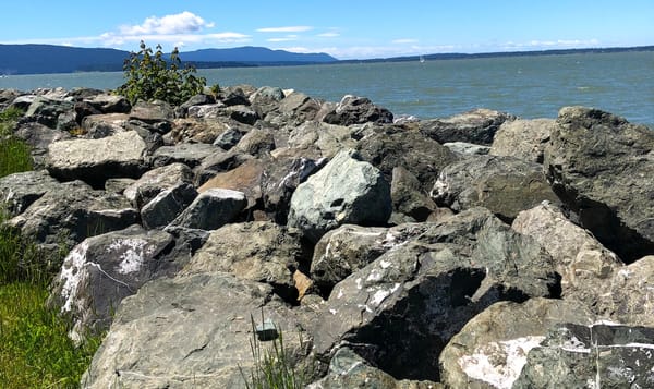 a cluster of large rocks create a seawall between the land and ocean