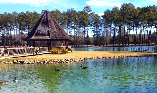 a gazebo on a little peninsula with ducks floating nearby