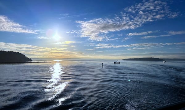 viewing the puget sound from the deck of a ferry