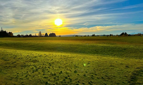 the sun setting on a green field