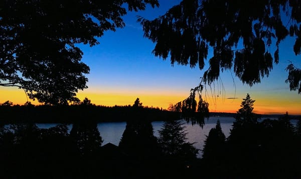 a sunset with silhouettes of trees