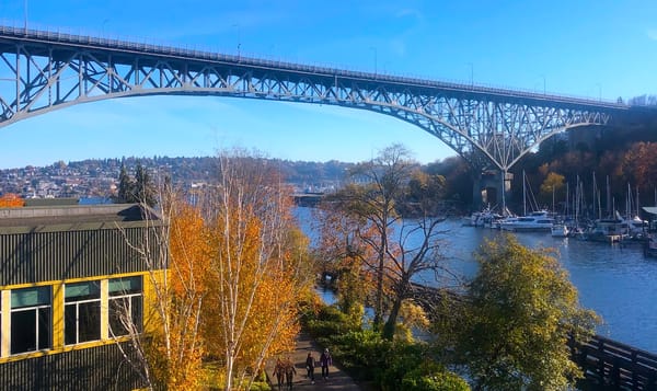 a bridge over the puget sound with houses and trees beneath it