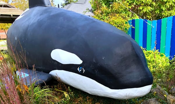 a statue of an orca (the whale) resting on land