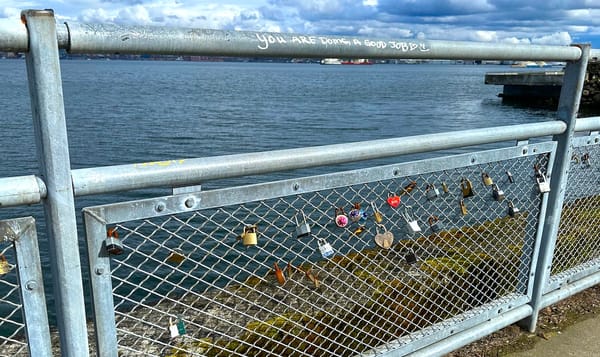 a chain link fence along the waterfront overlooking the puget sound. on a handrail someone has written "you're doing a good j