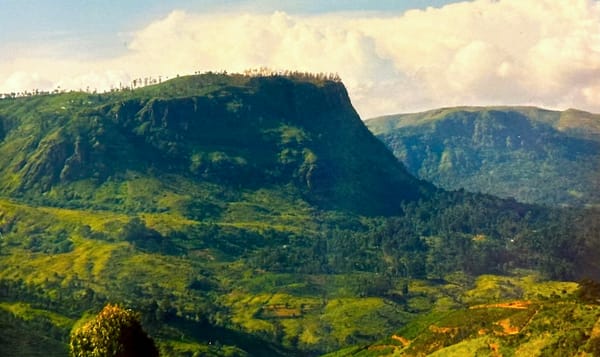 a Sri Lankan jungle plateau in the distance with valley below