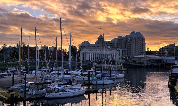 boats in a harbor in victoria, b.c.