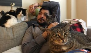 a man slouching on a couch with two cats resting on him and one lying near his head