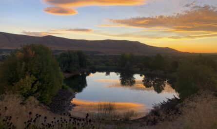 a photo of hills and trees in Washington wine country at sunset. the sky is light blue with gorgeous peach-colored clouds. a pond in the foreground reflects the sky like a mirror.