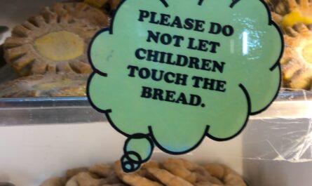 a photo peering into a display case at a Mexican bakery in Houston. taped to the glass is a green speech bubble that reads, "PLEASE DO NOT LET CHILDREN TOUCH THE BREAD." behind this very good sign are two shelves of pan dulce. the upper shelf contains flower-shaped girasoles. the lower shelf is full of horn-shaped cuernitos.