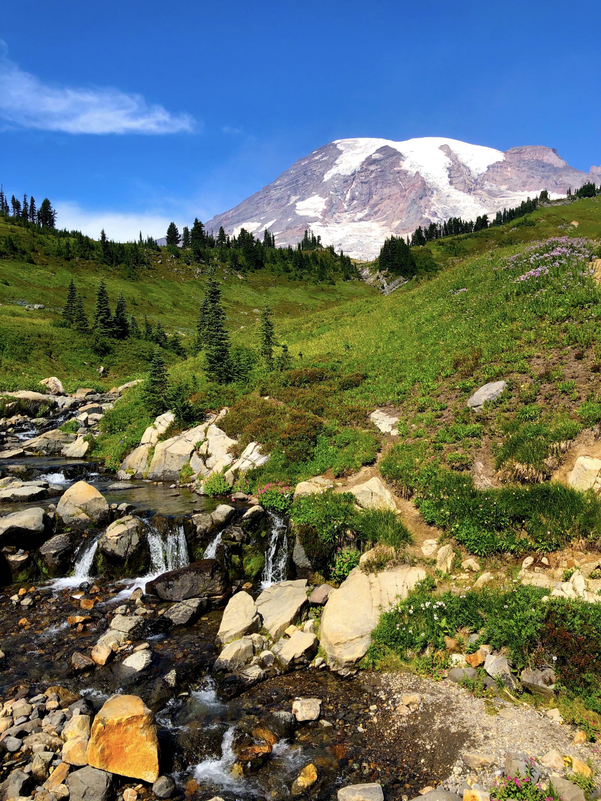 a photo of Myrtle Falls, a trickling stream near Paradise, WA. Mount Rainier looms in the background against a saturated blue sky. a lush valley separates the falls from the mountain. it's mostly green with a few flowers here and there.