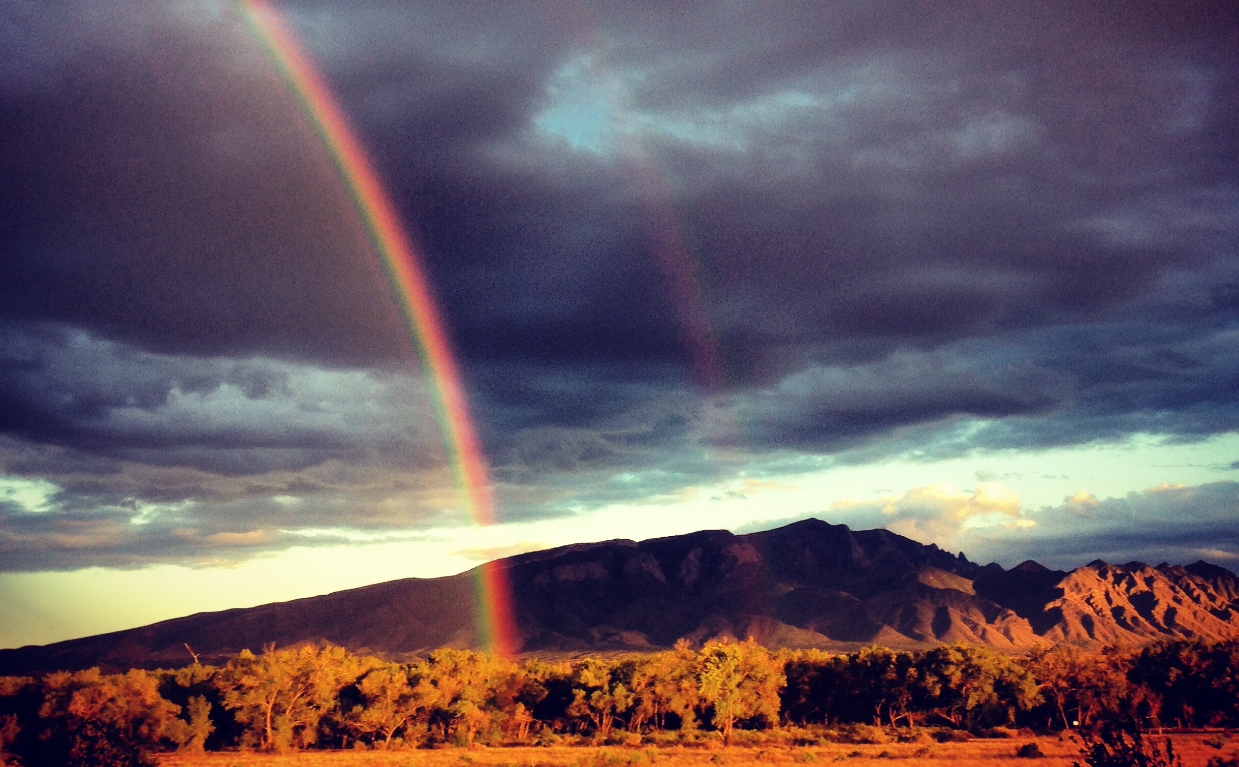 a photo of the mountains outside Albuquerque, New Mexico. above the mountains in the shadows of dusk sit dark clouds with flecks of light. in front of the mountains are desert trees and grass cast in a ghostly yellow-brown. somewhere between the viewer and the scrub trees, a rainbow floats in the ether. near the center of the image is a second rainbow, barely visible, but perhaps the thing that made this scene so special.