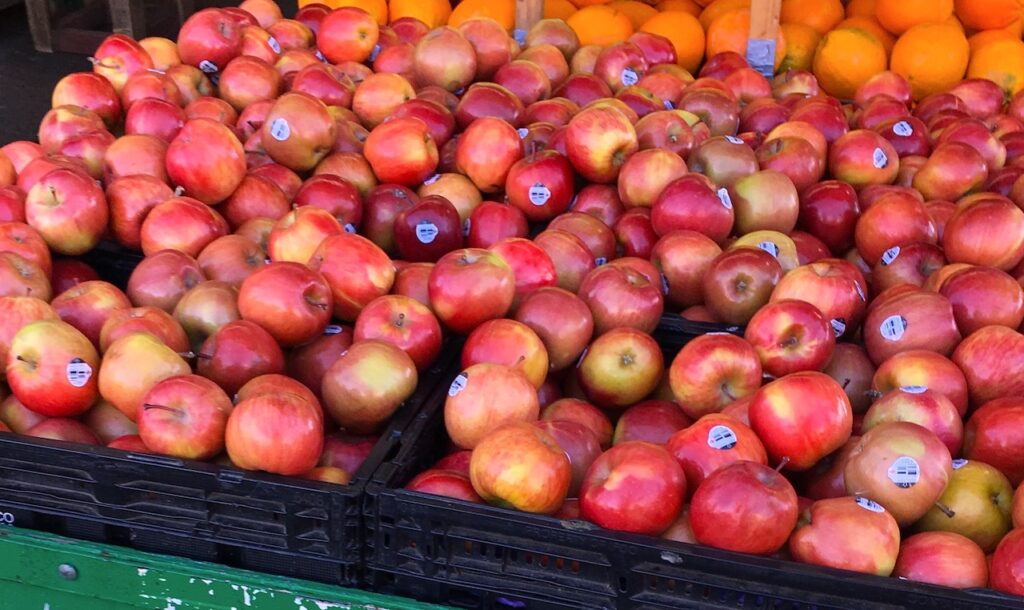 a photo of a display case of apples at a produce stand. the apples are of the small Fuji variety, in colors that range from cherry red to unripe banana. they are jumbled into four large black plastic bins. just behind the apples sit a similar row of navel oranges. 