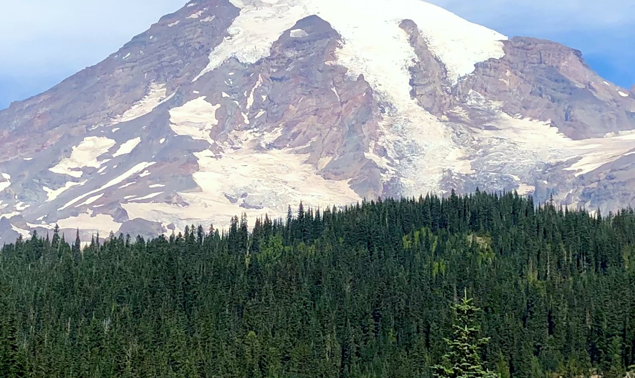 a cropped photo of mount rainier in summer with bright green forest below