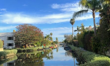 a photo of a canal in a neighborhood in Venice, California. the canal is in the middle third of the picture, stretching vertically from the bottom to the center of the photo. the blue sky with streaks of clouds is reflected in the still surface of the water. a few palm trees and hedge rows line the right side of the canal. on the left is an apartment building separated from the water by a medium-sized tree. small boats are moored to the sidewalk in the distance. you can barely see a metal bridge just beyond that. it's nice that there are so many different ways to get to the same place.