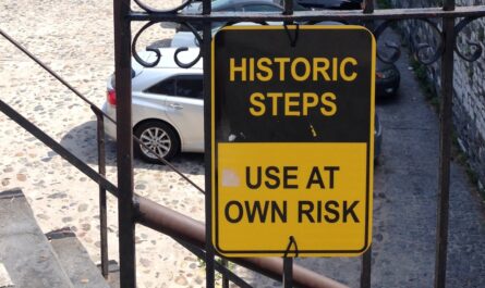 a yellow and black sign that reads, "historic steps" and "use at your own risk"