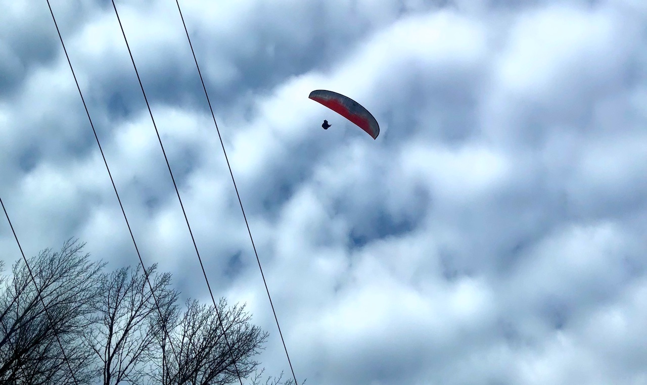 a paraglider flying in the air above a tree and some power lines