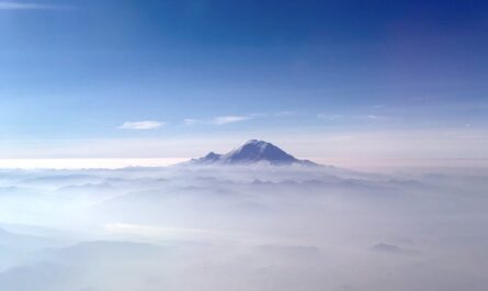 view from a plane of mount rainier above the clouds