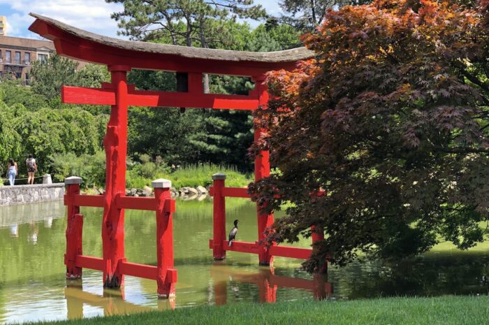 a red Japanese gate in the water