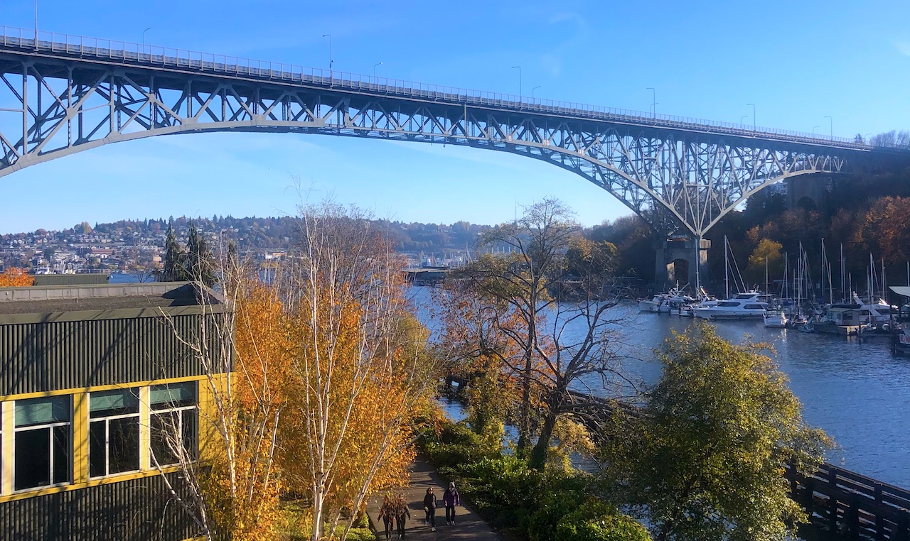 a bridge over the puget sound with houses and trees beneath it