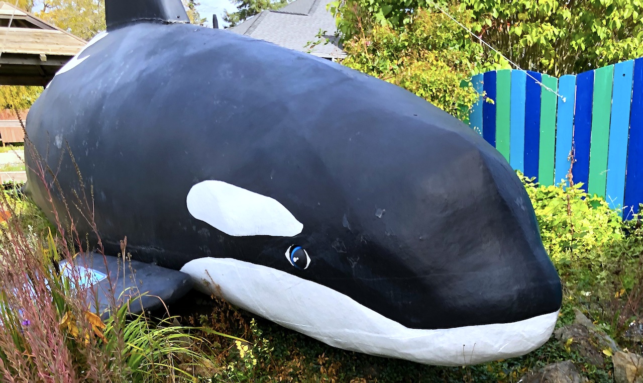 a statue of an orca (the whale) resting on land