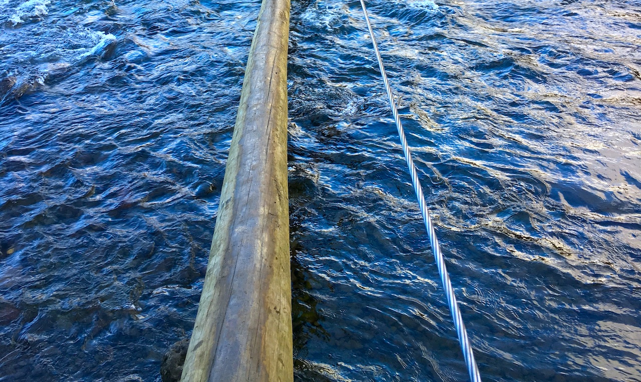a log and cable hover above a fast-moving river