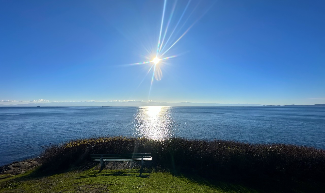 view of the afternoon sun from the cliffs at beacon hill park in victoria, bc