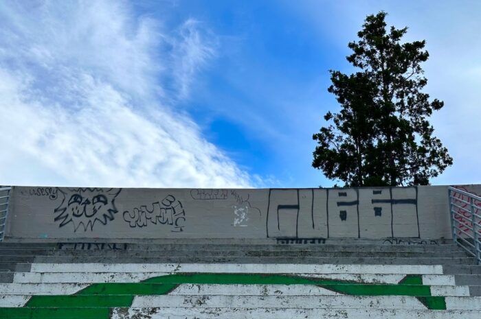 a tree and blue skies peek out from behind the back wall of a concrete bleachers decorated with paint