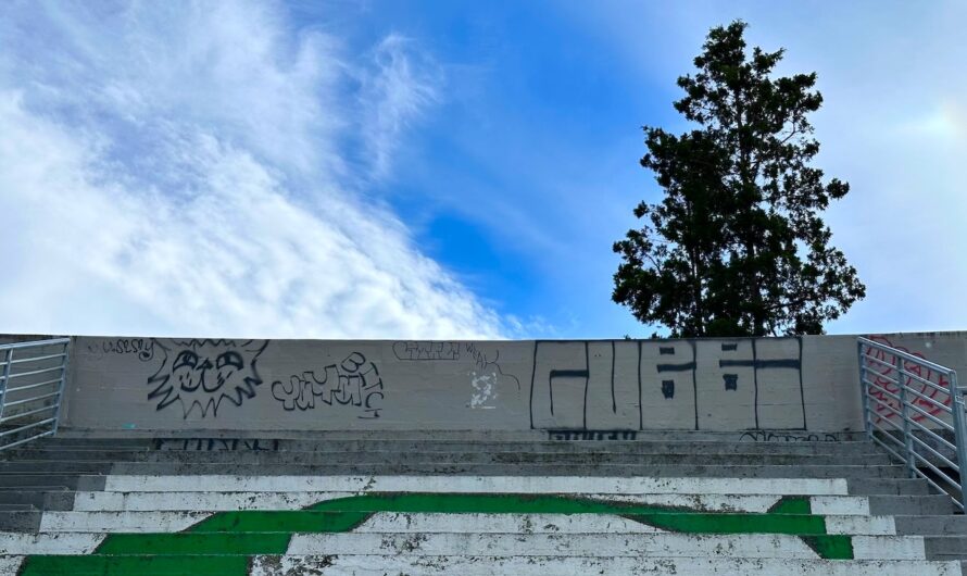 a tree and blue skies peek out from behind the back wall of a concrete bleachers decorated with paint