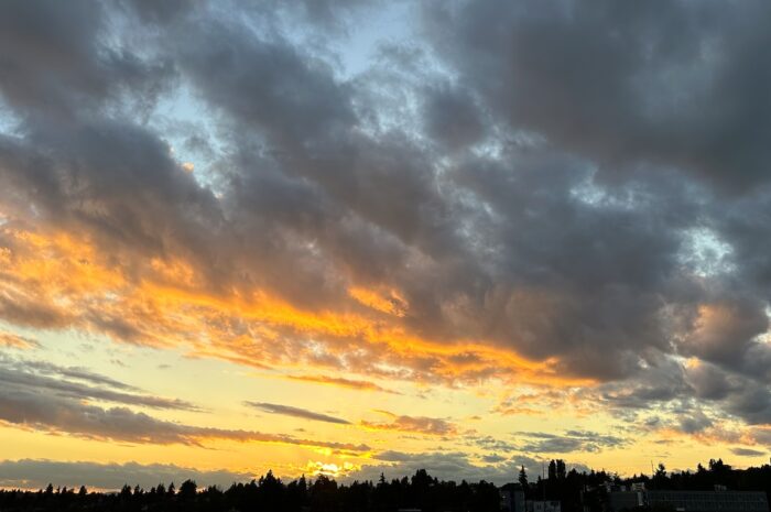 a wide shot of the horizon. trees and buildings edge the bottom of the photo. the rest is sky: orange and gray clouds with the sun peeking out.