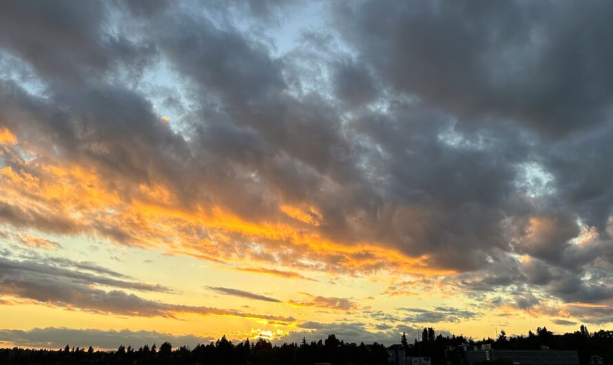 a wide shot of the horizon. trees and buildings edge the bottom of the photo. the rest is sky: orange and gray clouds with the sun peeking out.